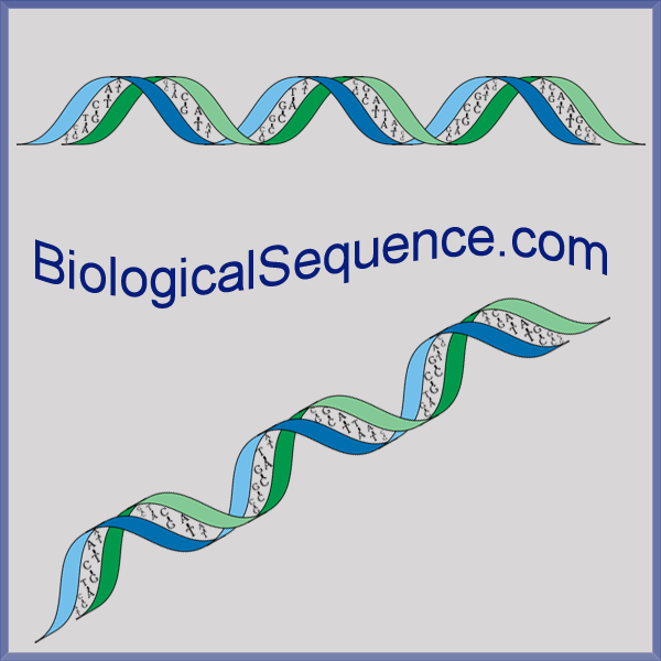 Biological Sequence
