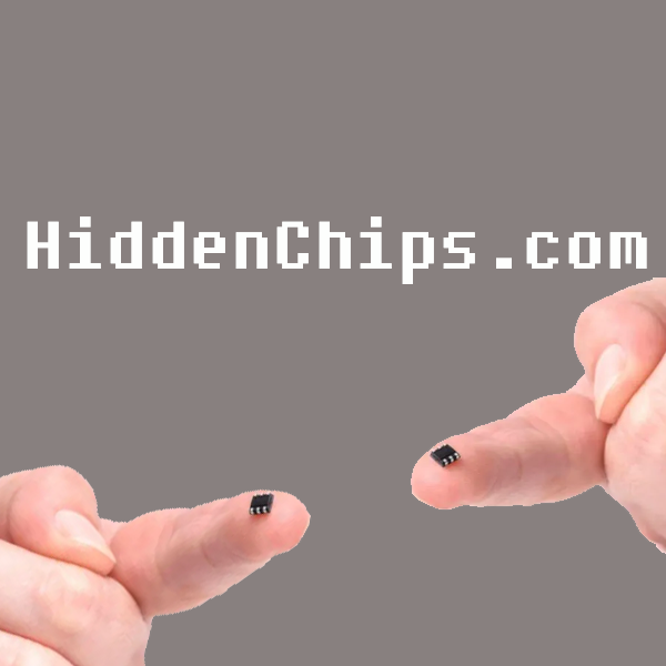 Hidden Chips - WebByDiane